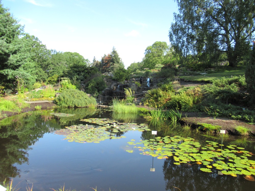 Der botanische garten botanicactus ist eine sehenswürdigkeit an der südküste mallorcas. Urlaubs-Highlights Norwegen - Hannelore Walluhn